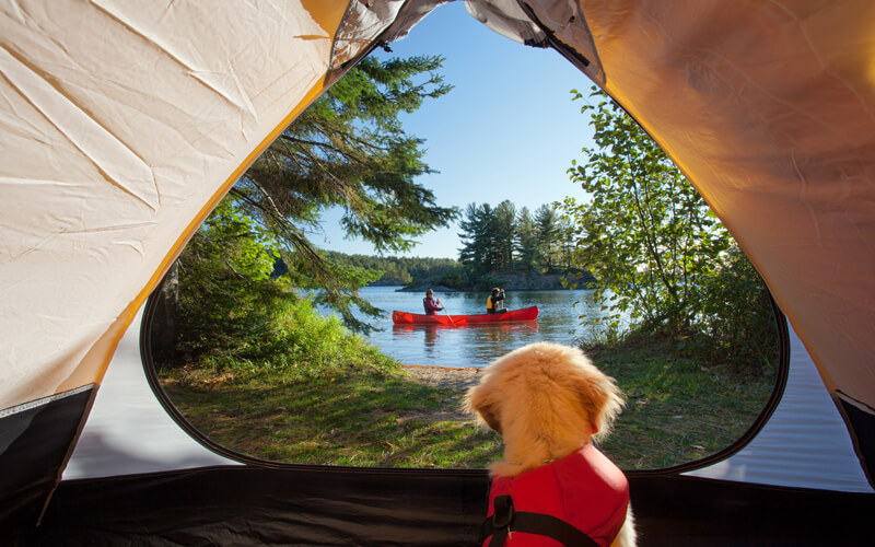 Parks of the St. Lawrence