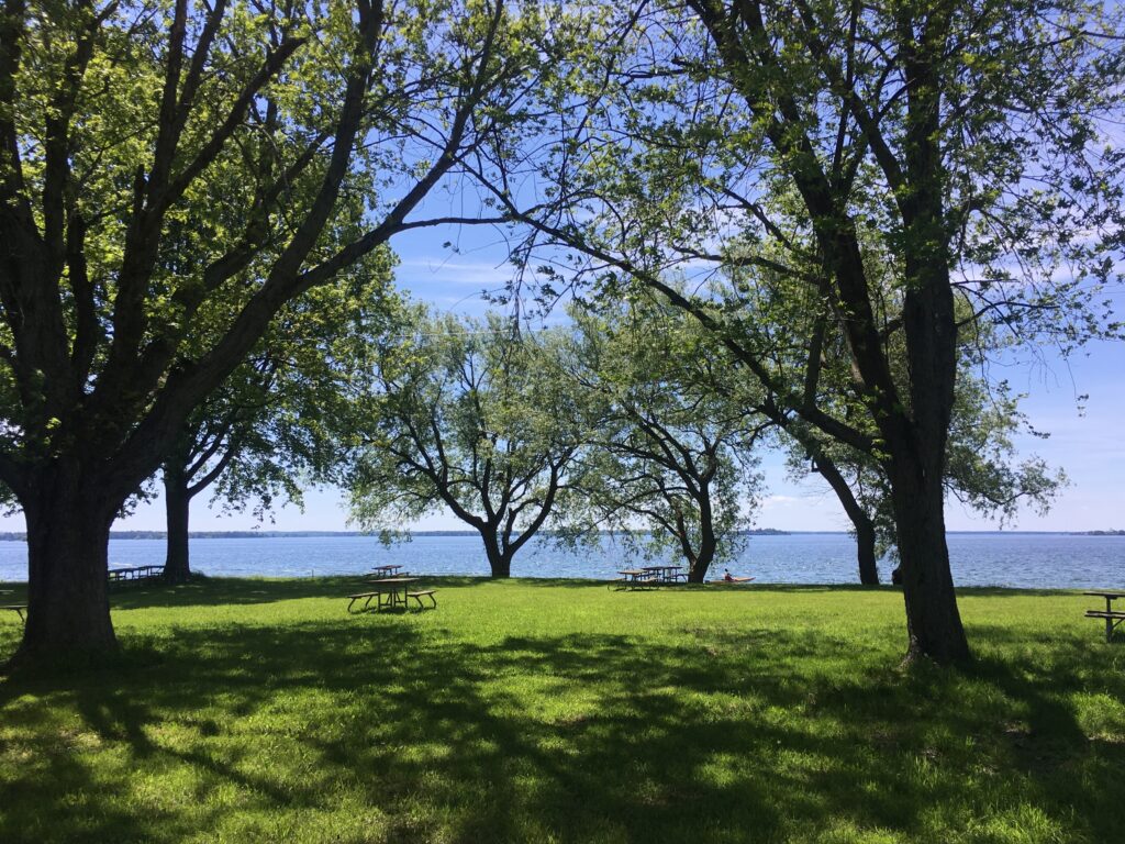 Green space with grass and trees overlooking body of water in the distance
