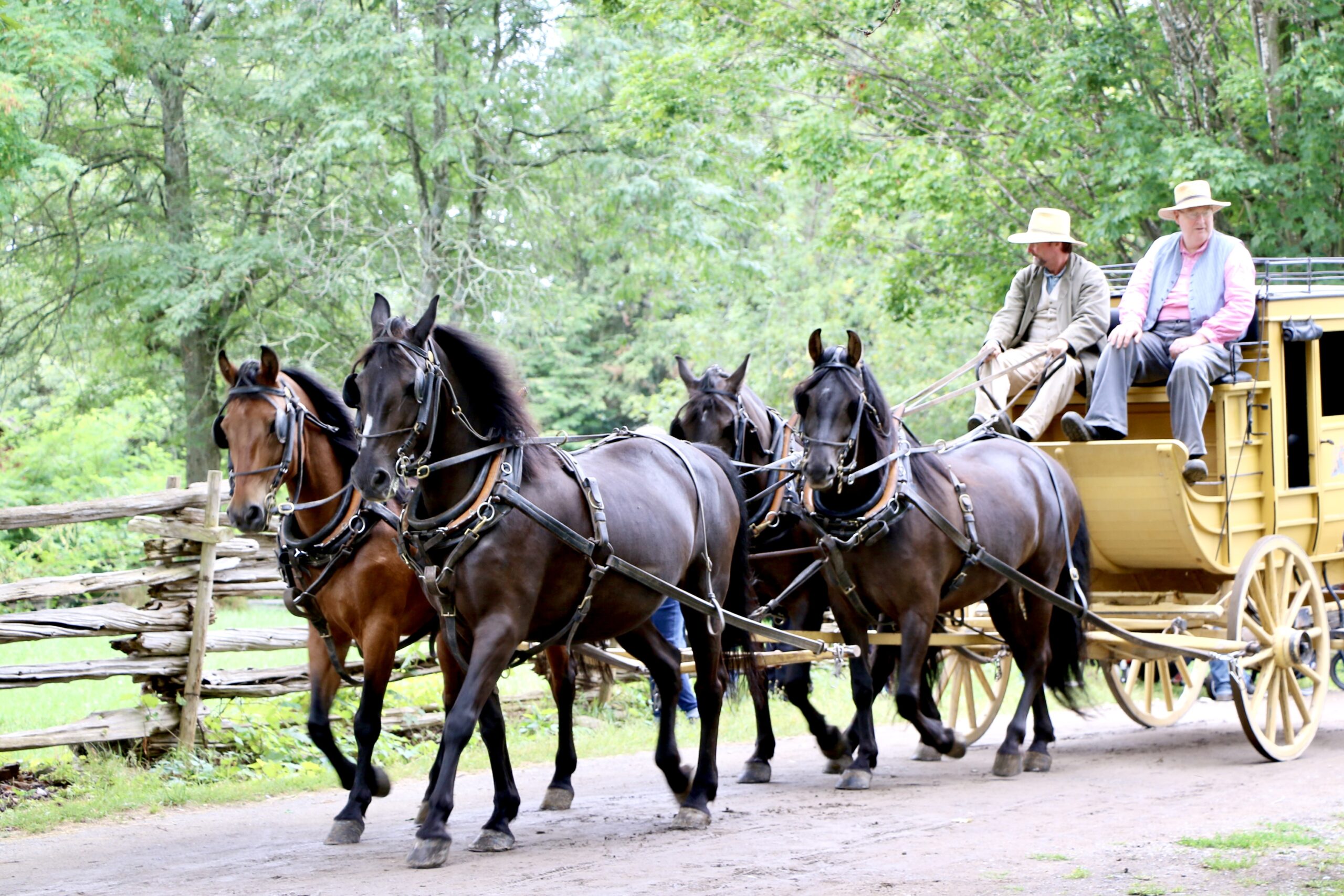 Hommage au cheval national du Canada à Upper Canada Village