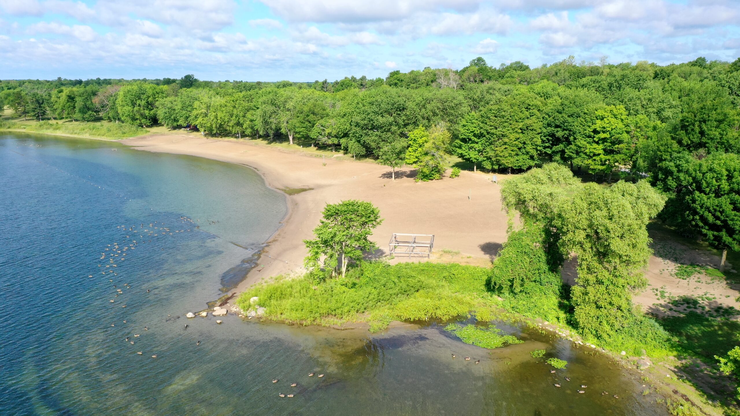 Revitalisation de la plage Mille Roches et de la zone d’utilisation diurne