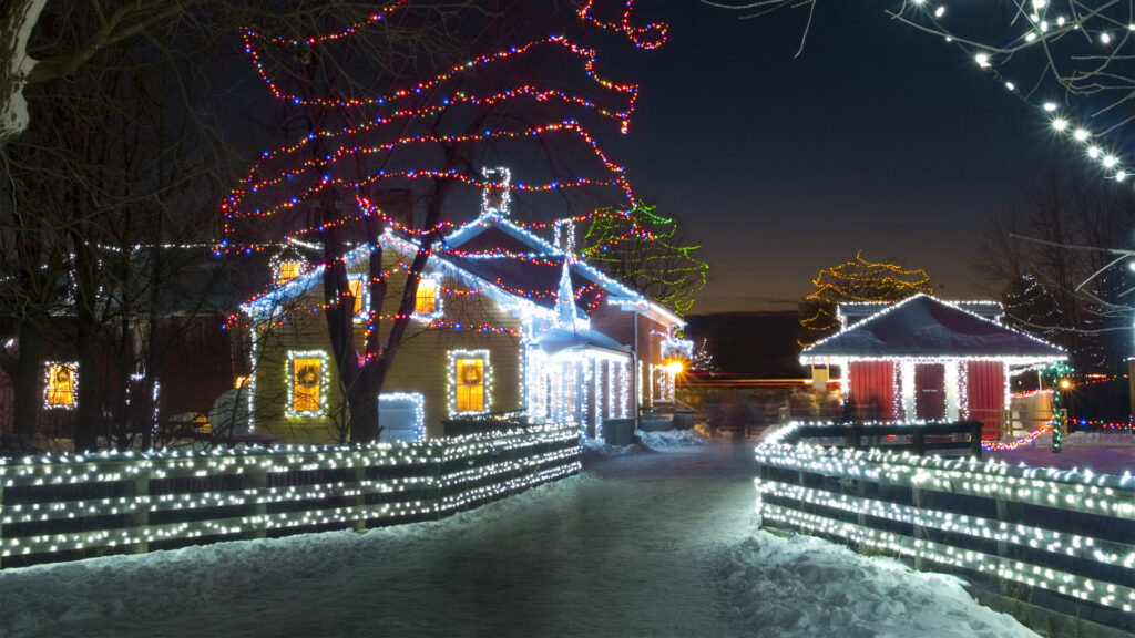 Alight at Night festival image, showing lights on fences, trees and heritage buildings